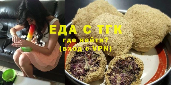 хмурый Аркадак