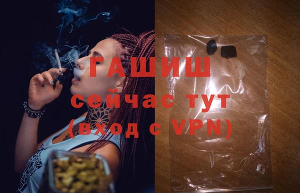 сатива Армянск