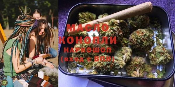 хмурый Аркадак
