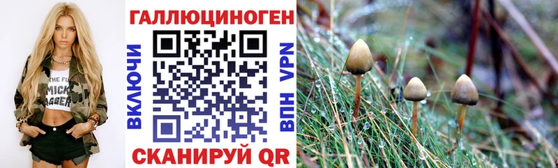 блэк спрут ссылки  Нея  Галлюциногенные грибы Magic Shrooms  купить наркоту 
